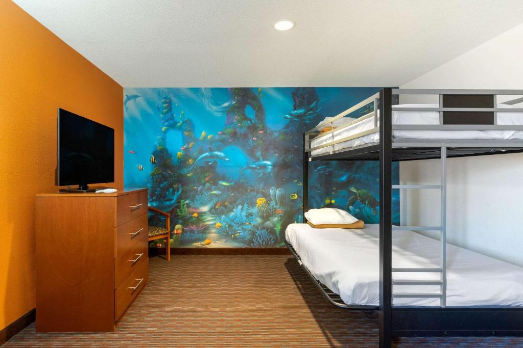 Comfort Suites Stevensville - St Joseph photo