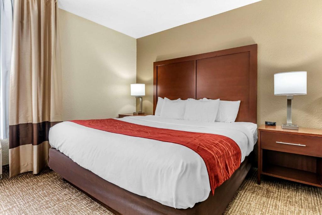 Comfort Inn & Suites Cincinnati Eastgate - King Suite - Non Fumé