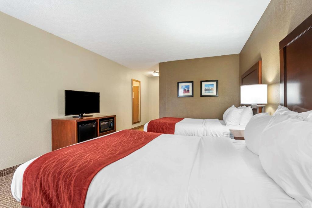 Comfort Inn & Suites Cincinnati Eastgate - Habitación Doble Con Dos Camas Dobles: No Fumar
