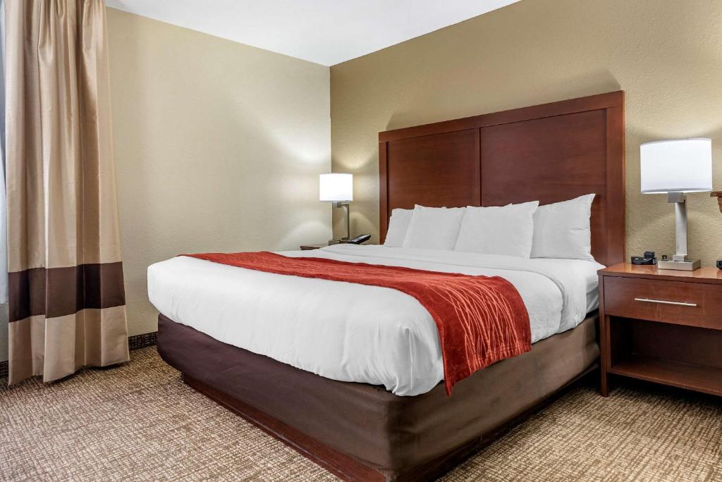 Comfort Inn & Suites Cincinnati Eastgate - King Suite - Non-fumeur