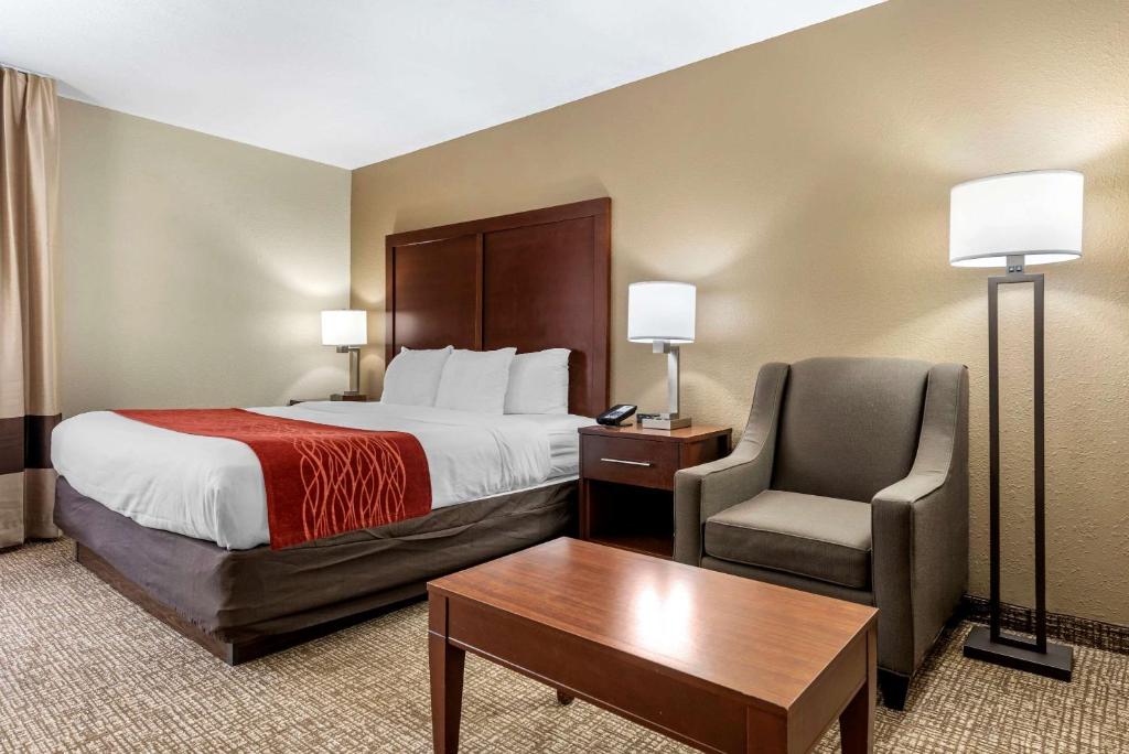 Comfort Inn & Suites Cincinnati Eastgate - Salle King Standard - Non-fumeur