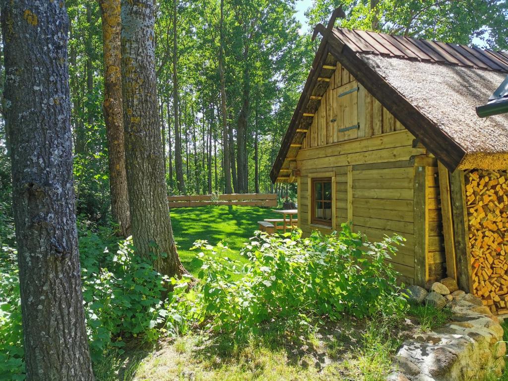 a log cabin in the woods with trees at Pape holiday home in Pape