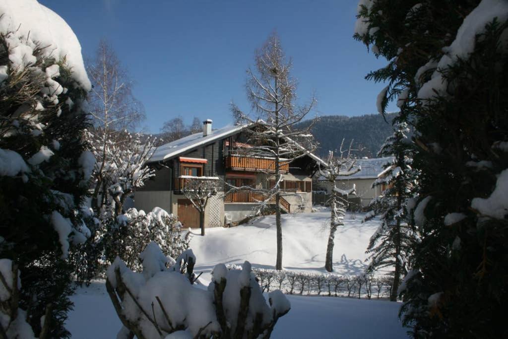Gîte Le Wallis v zimě