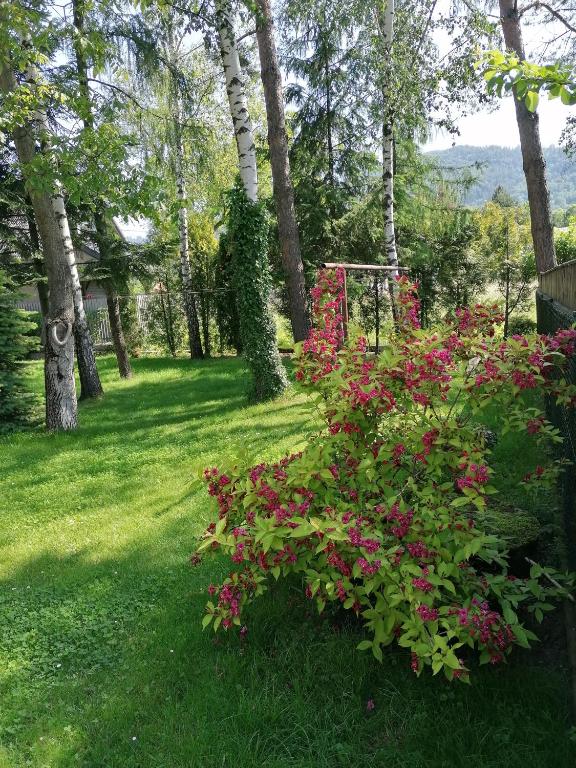 Vonkajšia záhrada v ubytovaní Apartamenty pokoje INA