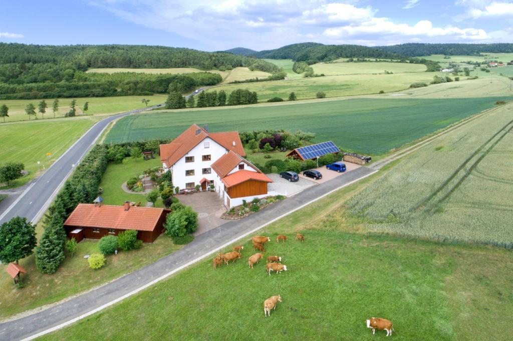 Příroda nedaleko apartmánu