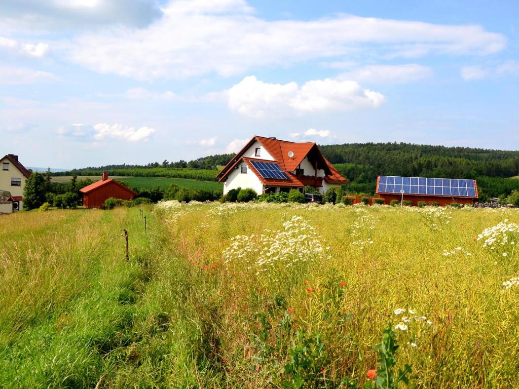 Příroda nedaleko apartmánu
