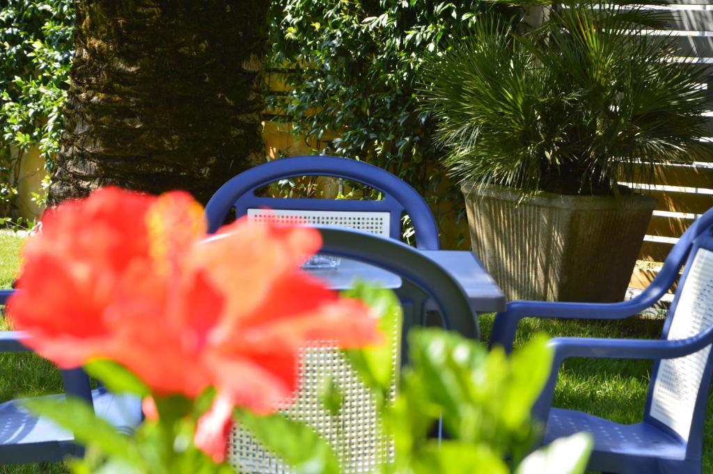 Zahrada ubytování Hotel Fortunella