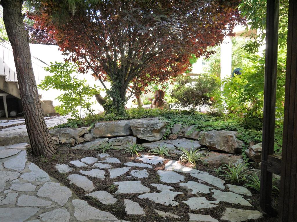 a garden with a stone wall and a tree at art room in Midrakh ‘Oz