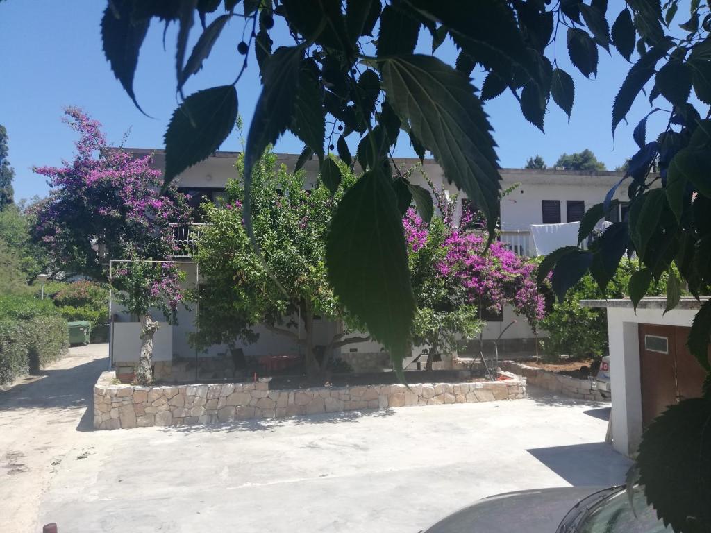 Vonkajšia záhrada v ubytovaní Niko apartment