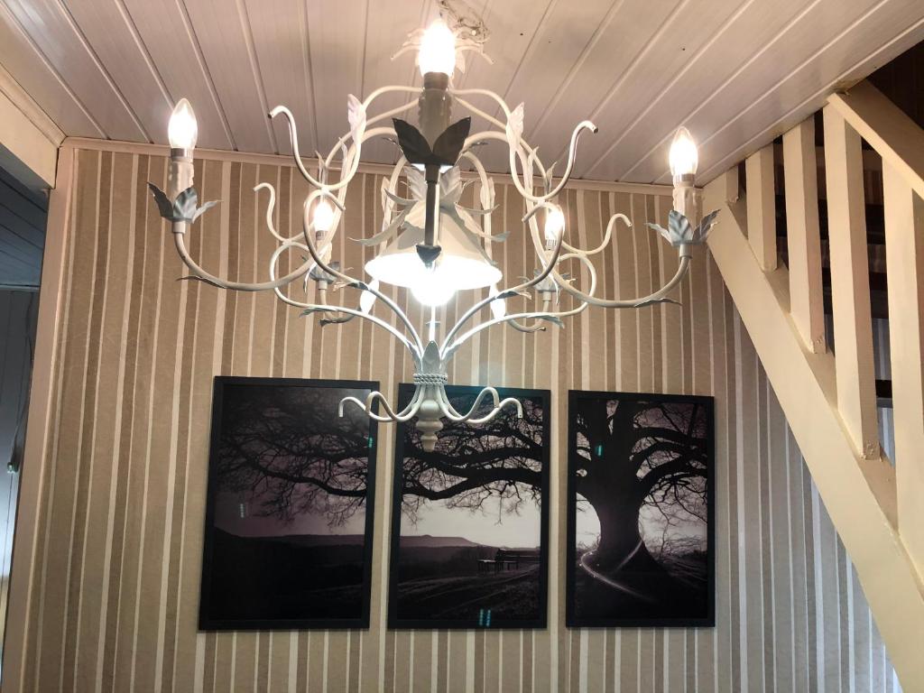 Casa Gramado  Casa Gramado