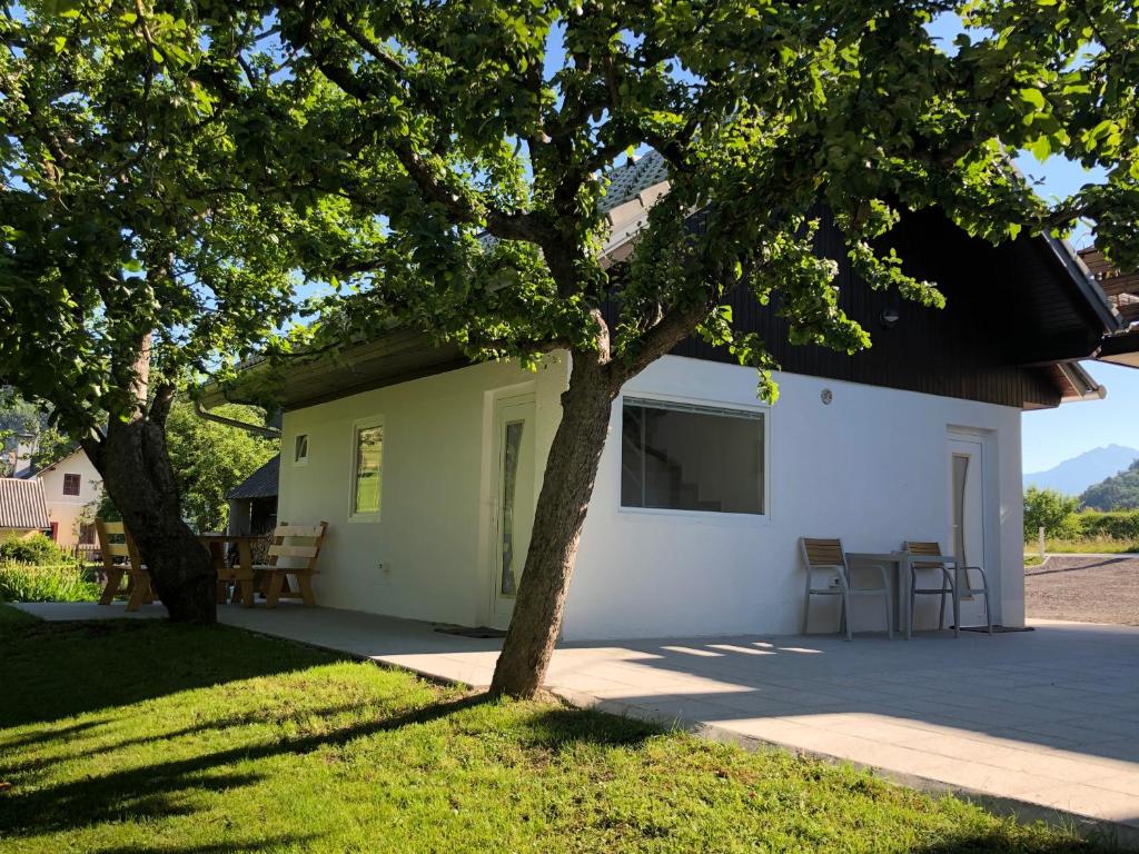 Budova, kde se apartmán nachází