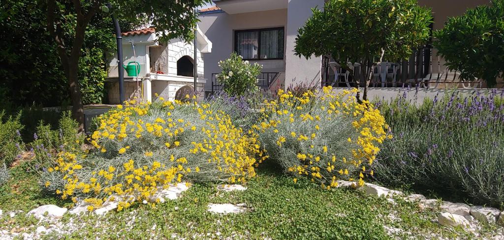 Vonkajšia záhrada v ubytovaní Holiday home Ruzmarin