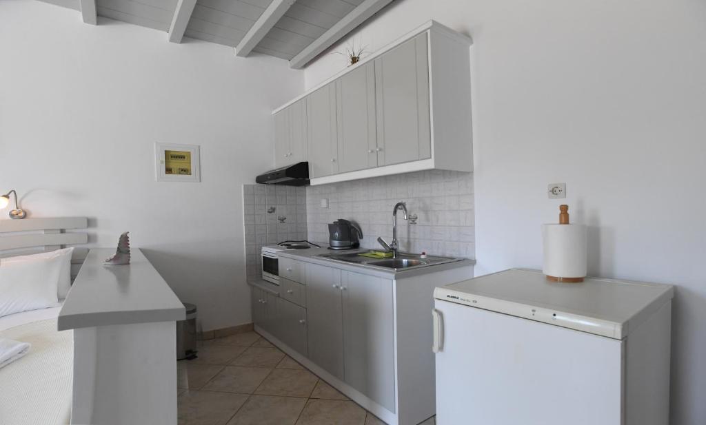 Kuchyň nebo kuchyňský kout v ubytování Nostos Beachfront Apartments & Studios