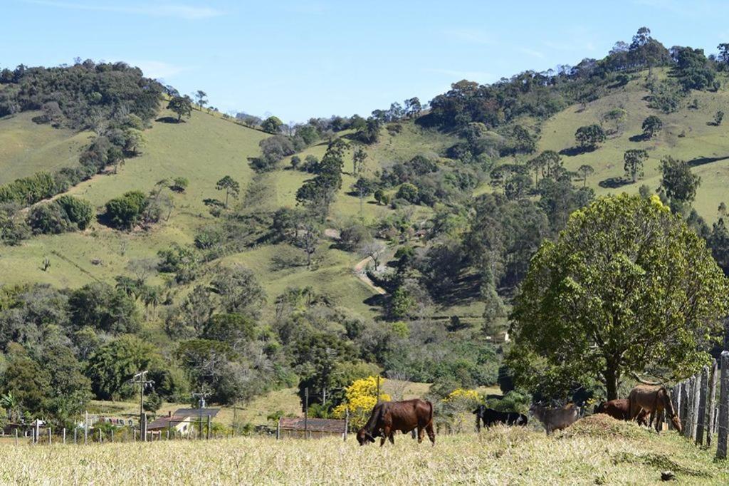  Fazenda Mantiqueira