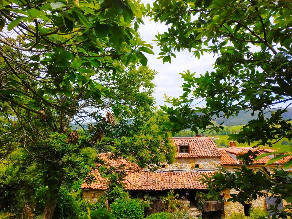 an old house in the middle of trees at Apartamento en Plena Naturaleza in La Cavada