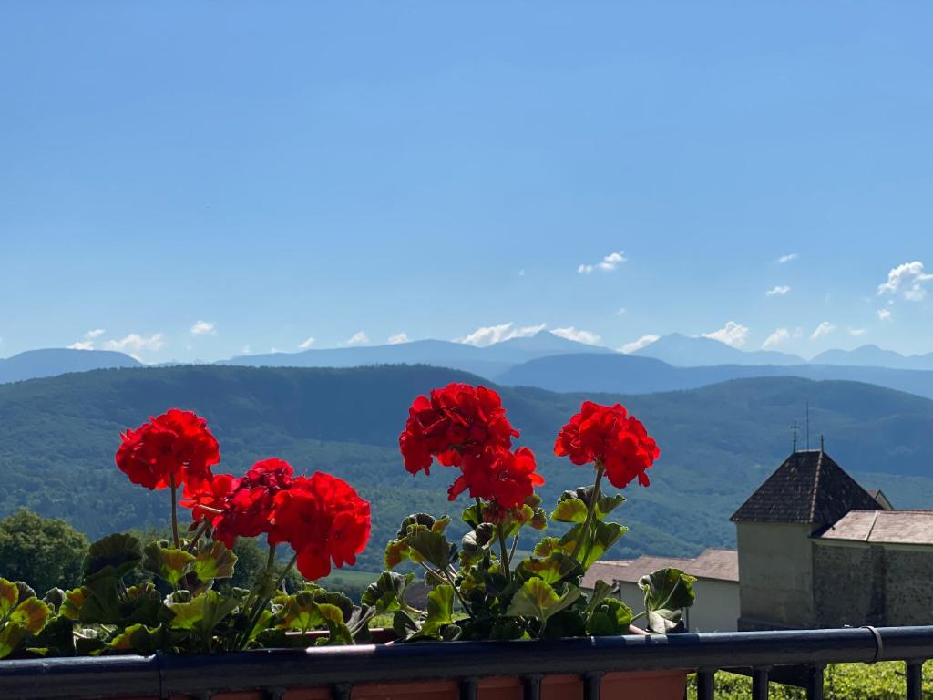 Príroda v okolí apartmánu