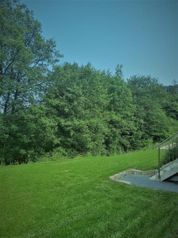 Příroda nedaleko apartmánu