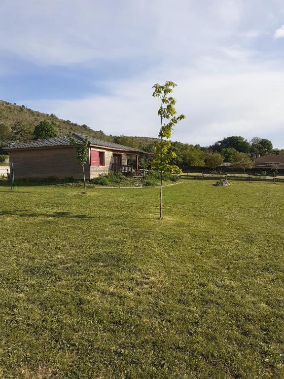 un arbre dans un champ avec une maison en arrière-plan dans l'établissement PETITE MAISON EN BOIS, à Rogues