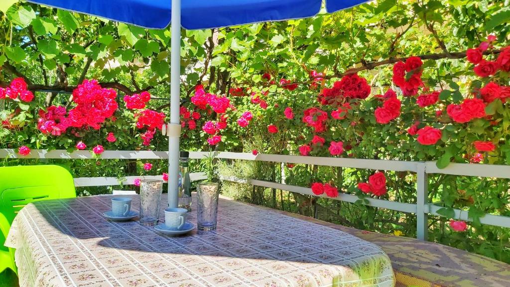 Guest House Pogradeci - Image 9