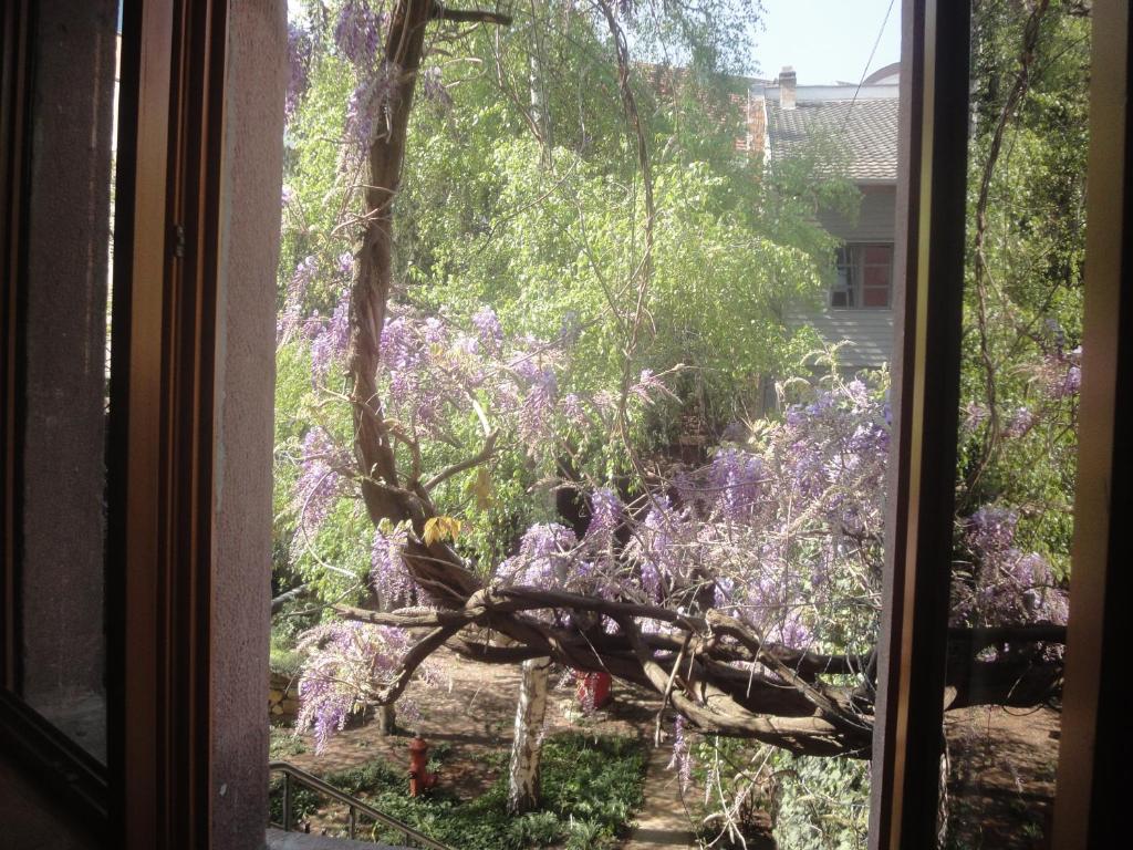 Le jardin des remparts – photo 19