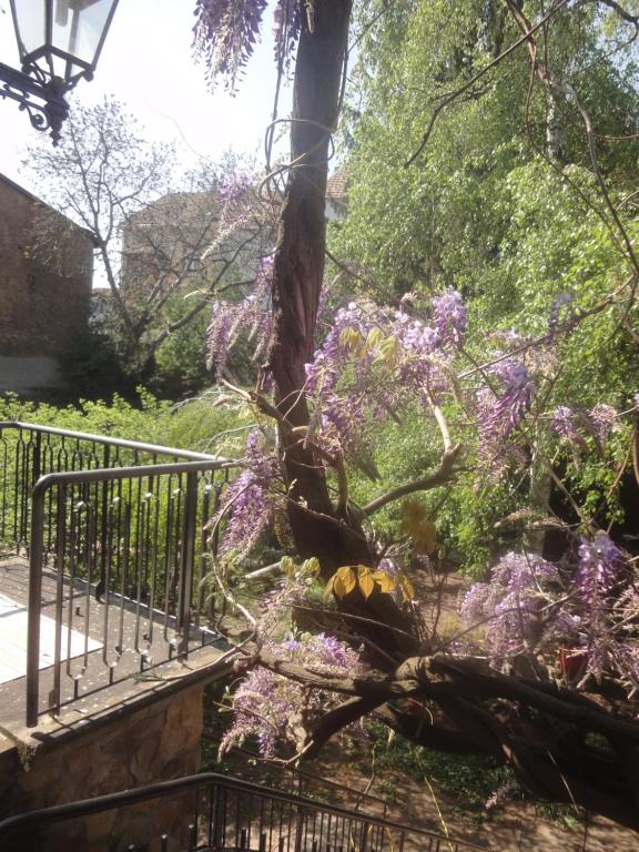 Le jardin des remparts – photo 18