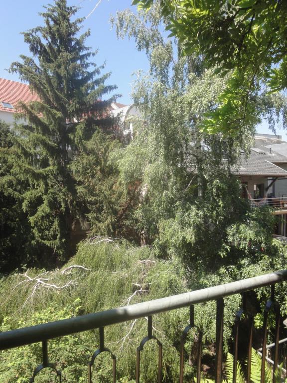 Le jardin des remparts – photo 17