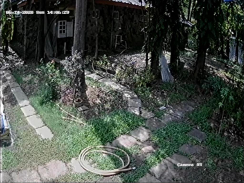 a garden with a hose in the grass next to a house at madhvilla by Anish in Nārāinpur