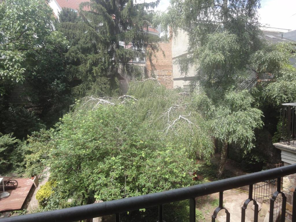 Le jardin des remparts – photo 11