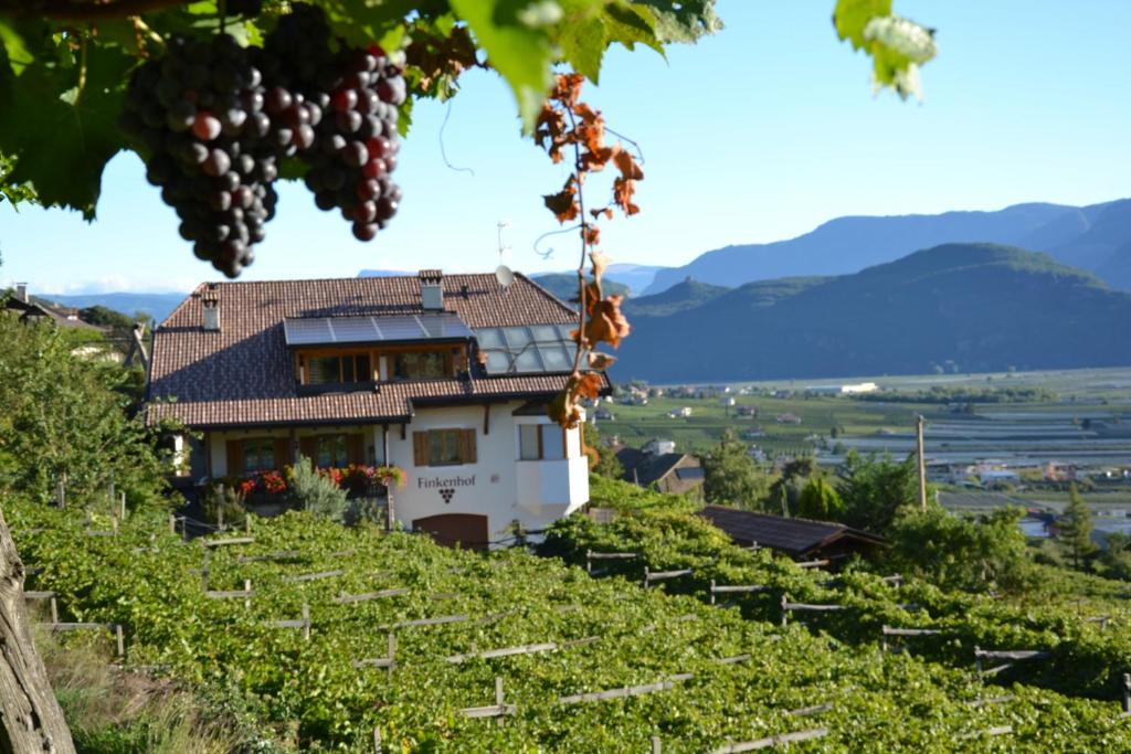 een huis op een heuvel met een bos druiven bij Finkenhof: Ferienwohungen - Urlaub auf dem Bauernhof in Termeno
