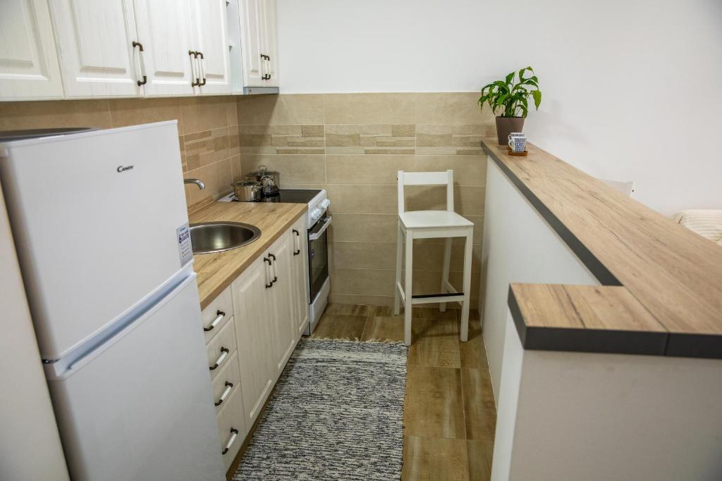 Kuchyň nebo kuchyňský kout v ubytování Apartman Ana