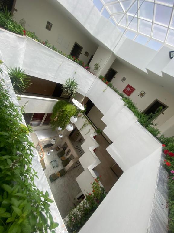 an overhead view of a building with plants at Al-Mujeb in Kerak