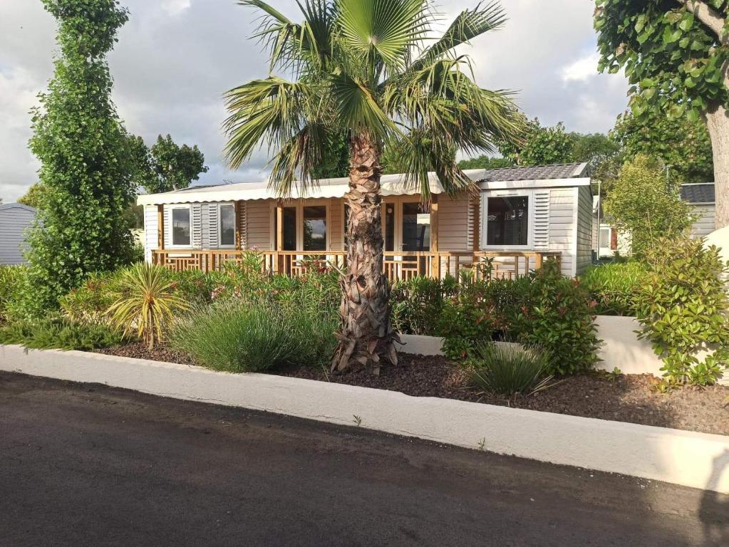 a palm tree in front of a house at VIAS Plage La Carabasse - Mobile home 6 places in Vias