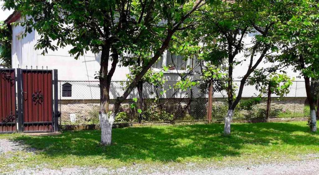 Zahrada ubytování Villa Svalyavа