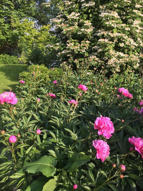 Giardino di Landhaus GRETE