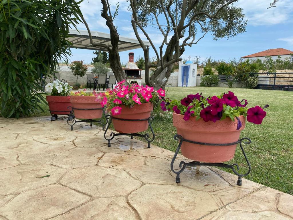 A garden outside Littore Maris
