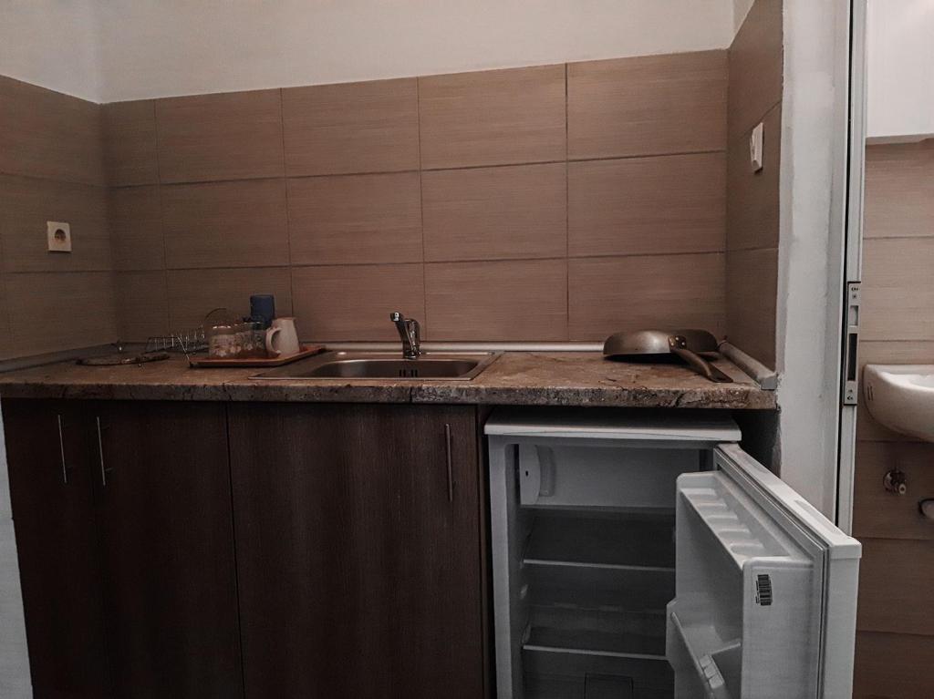 Kuchyň nebo kuchyňský kout v ubytování Aktaion Hotel