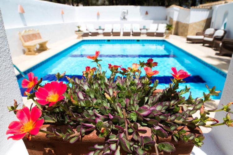 una maceta con flores frente a una piscina en Casa Armonía, en Benissa