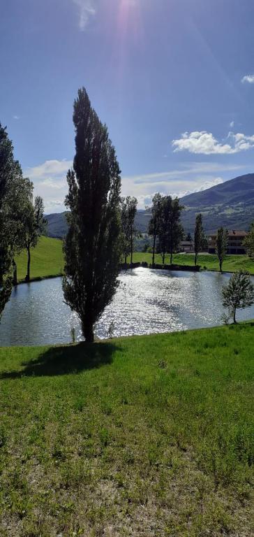 Príroda v okolí apartmánu