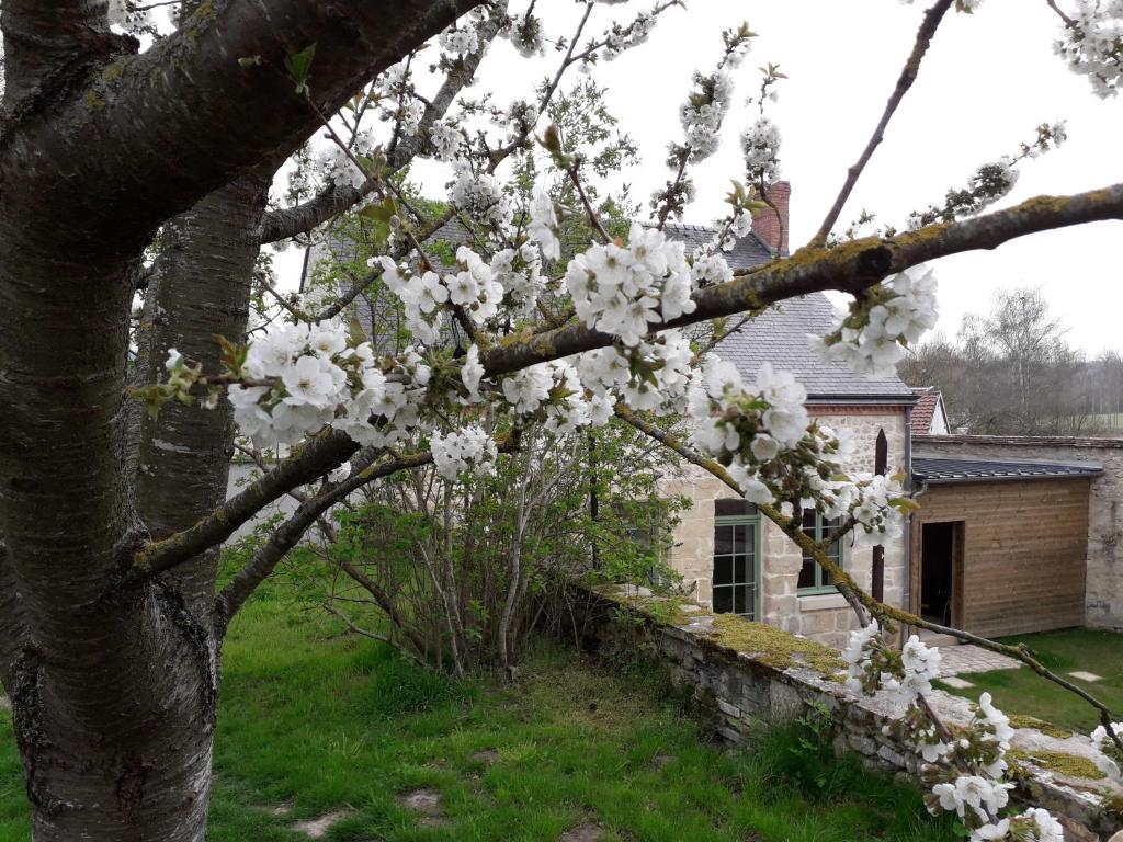 un albero con fiori bianchi di fronte a una casa di LE RELAIS a Révillon