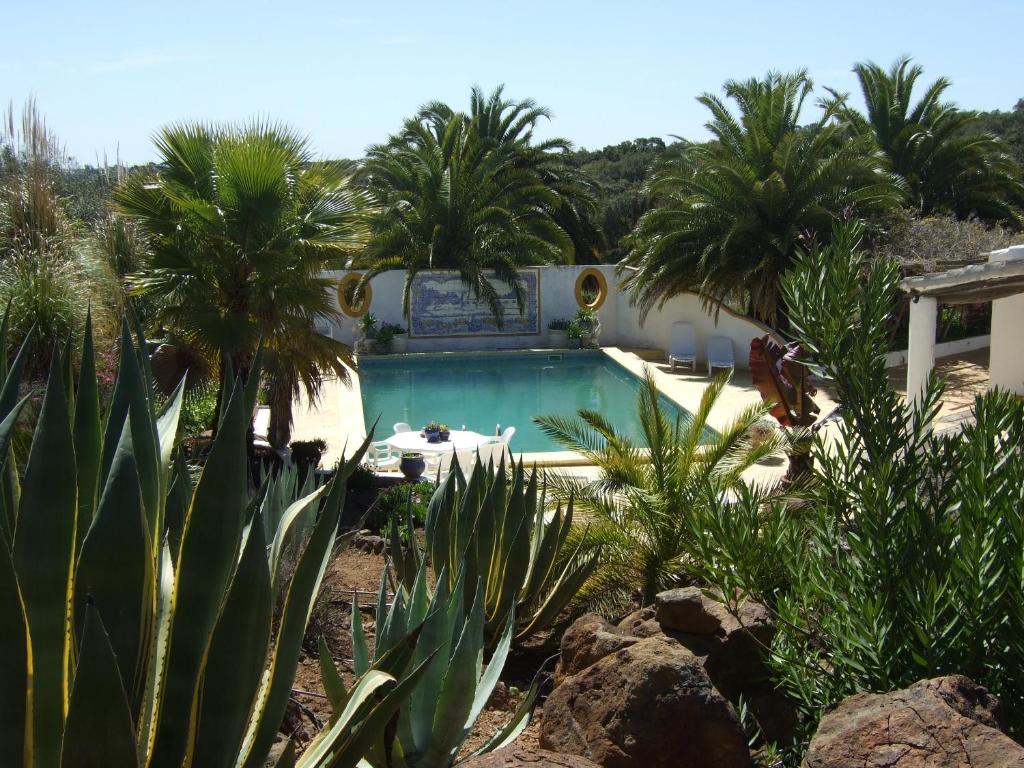 una piscina en un patio con palmeras en Quinta Do Cano, en Évora