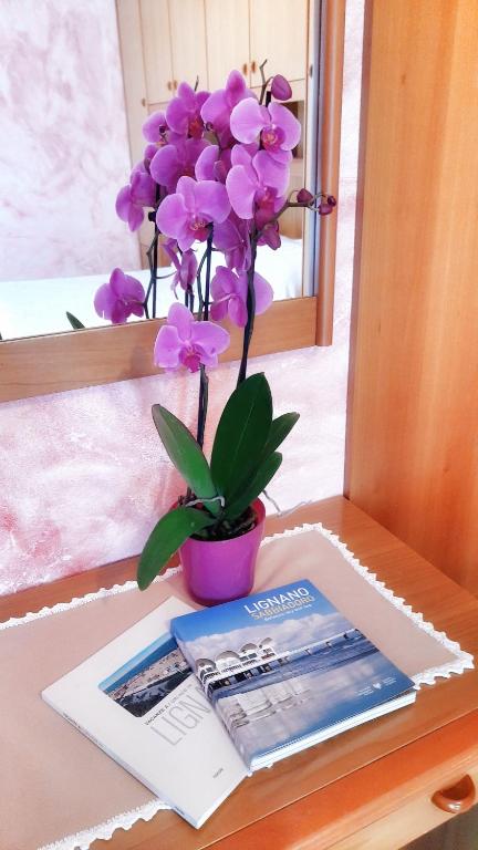Fotografia z galérie ubytovania Hotel & Wellness Fra I Pini v Lignano Sabbiadoro