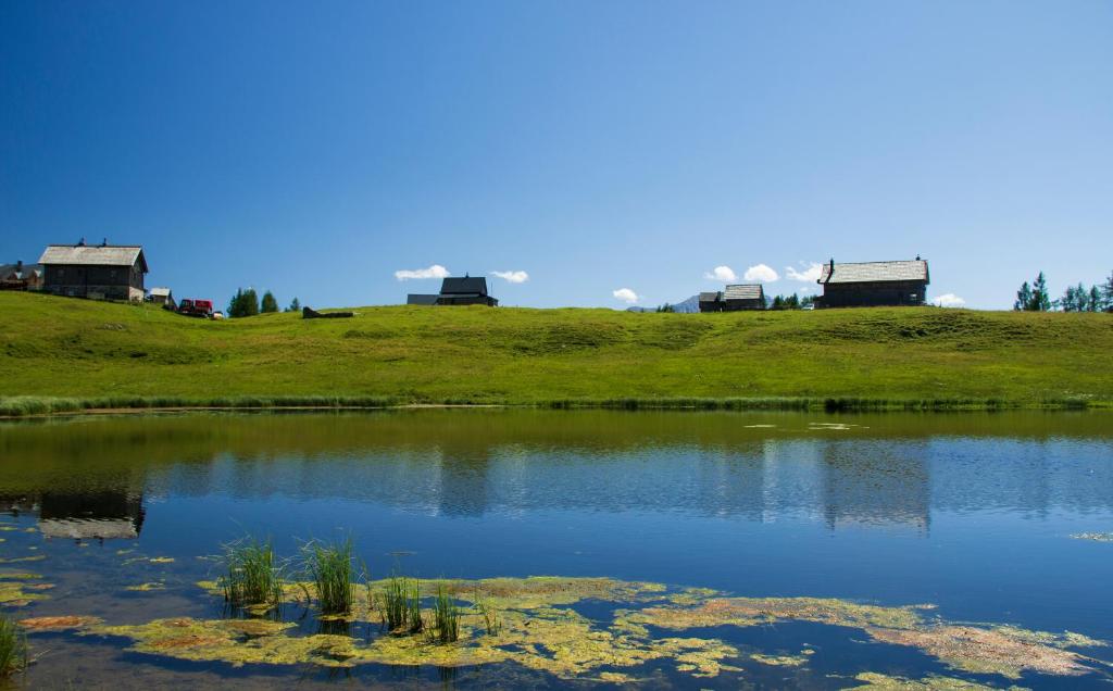 Příroda nedaleko apartmánu