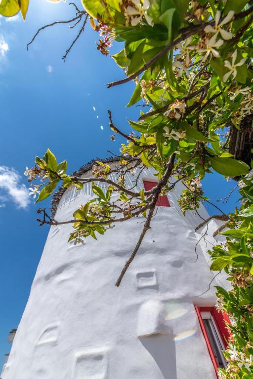 Fotografie z fotogalerie ubytování Old Windmill in Triandaros village v destinaci Triandáros
