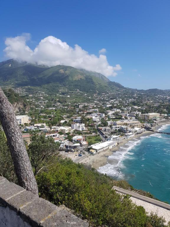 Casa La Torre Forio d'Ischia - Vicoli Saraceni - One-Bedroom Apartment