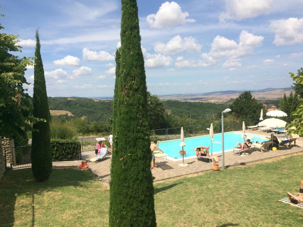 vista sulla piscina attraverso due alberi di Regina home a Contignano