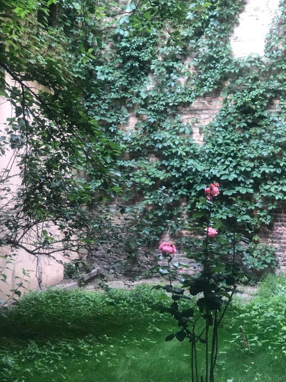 Apart Sova Dream apartments - Resim 31