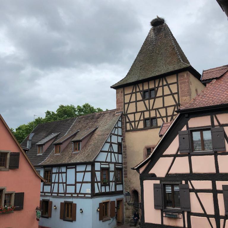 Aux Colombages Turckheim - 10 min Colmar – photo 24