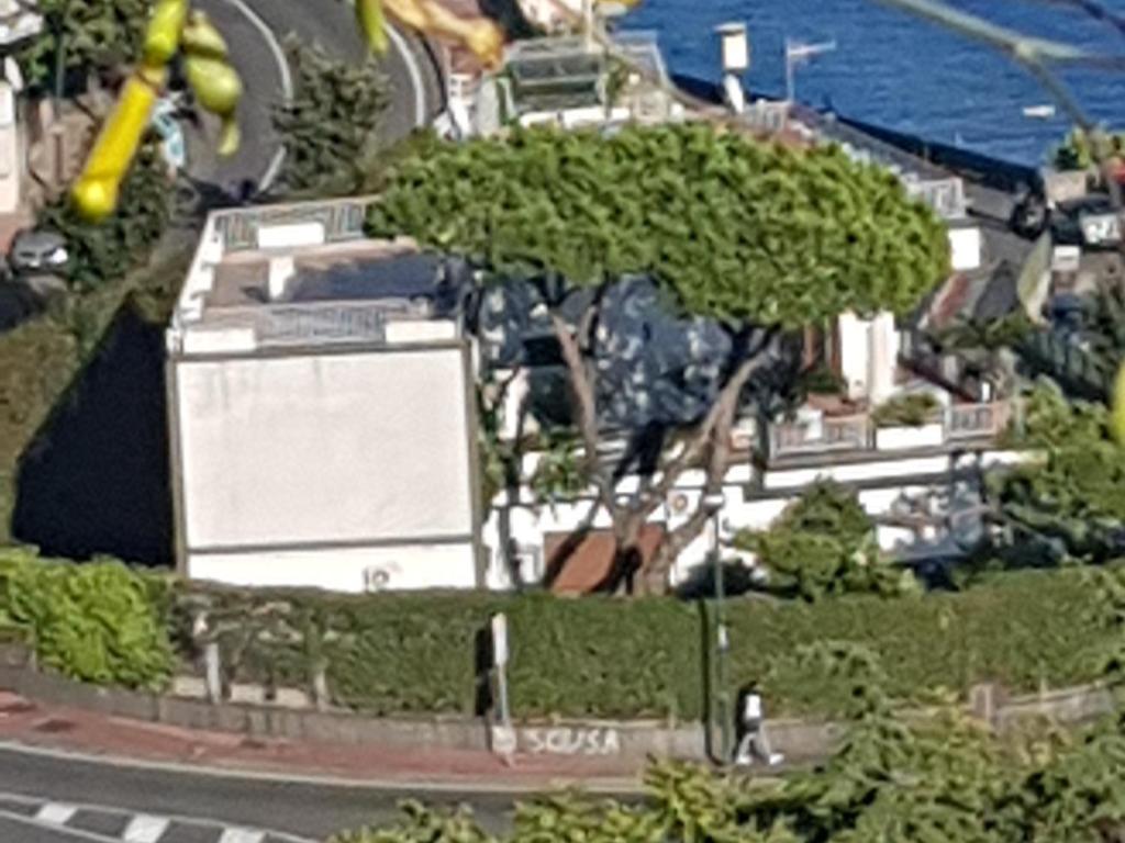 un modello di una città con un albero e una strada di La Tolda - La Vista Clara a Napoli