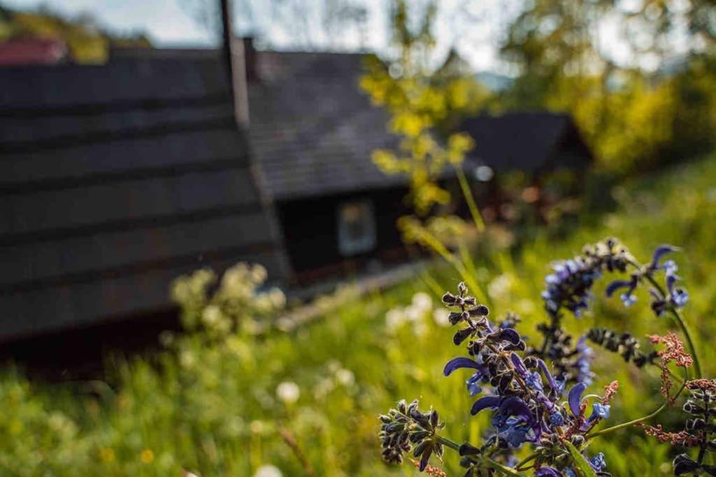 Zahrada ubytování Zbojnícke Chalúpky