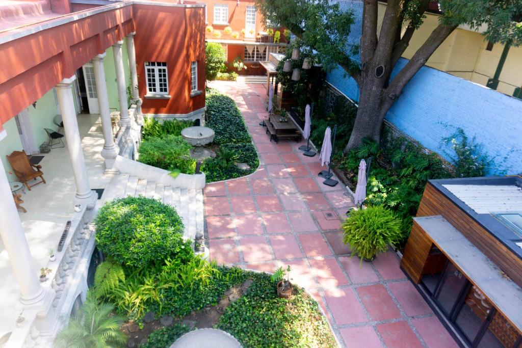 an overhead view of a courtyard with a tree at Casa Moctezuma in Mexico City